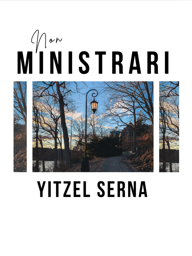 Non Ministrari book cover.